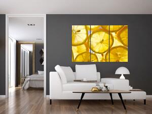 Plátky citrónov - obraz (Obraz 120x80cm)
