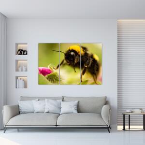 Včela - obraz (Obraz 120x80cm)