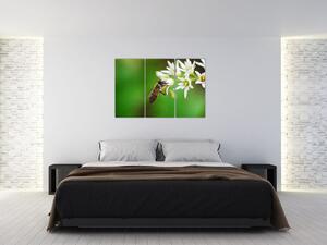 Fotka včely - obraz (Obraz 120x80cm)