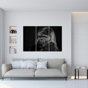 Obraz opice (Obraz 120x80cm)