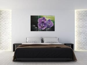 Obraz kvetov orchidey (Obraz 120x80cm)