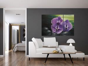 Obraz kvetov orchidey (Obraz 120x80cm)