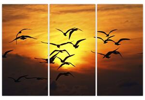 Obraz letiacich vtákov (Obraz 120x80cm)