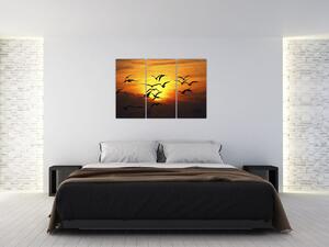 Obraz letiacich vtákov (Obraz 120x80cm)