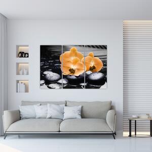 Kvet orchidey - obraz na stenu (Obraz 120x80cm)