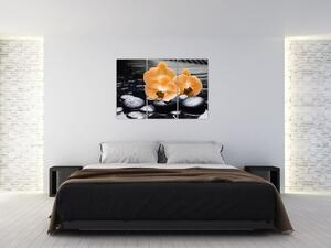 Kvet orchidey - obraz na stenu (Obraz 120x80cm)