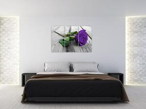 Obrazy kvetov - ruža (Obraz 120x80cm)