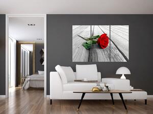 Moderný obraz - ruža (Obraz 120x80cm)