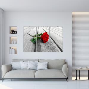 Moderný obraz - ruža (Obraz 120x80cm)