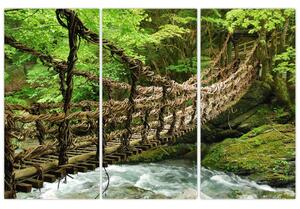 Obraz - most v prírode (Obraz 120x80cm)
