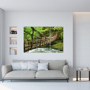 Obraz - most v prírode (Obraz 120x80cm)
