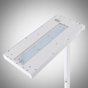 Logan Pro LED lampa snímač 4 000 K stmieva biela