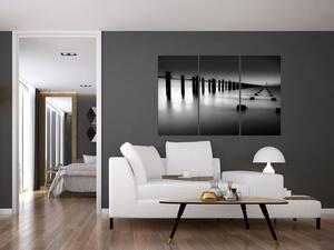 Čiernobiele mora - obraz (Obraz 120x80cm)