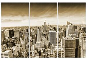 Panorama New York, obraz (Obraz 120x80cm)