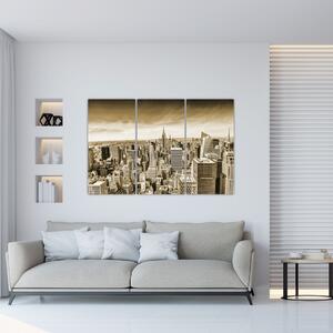 Panorama New York, obraz (Obraz 120x80cm)