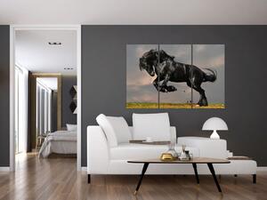 Čierny kôň, obraz (Obraz 120x80cm)