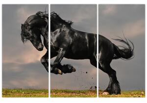 Čierny kôň, obraz (Obraz 120x80cm)