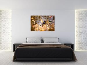 Letiaci kačice - obraz (Obraz 120x80cm)