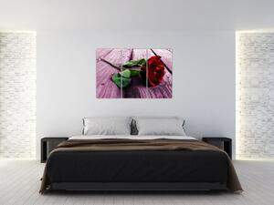 Ležiaci ruža - obraz (Obraz 120x80cm)