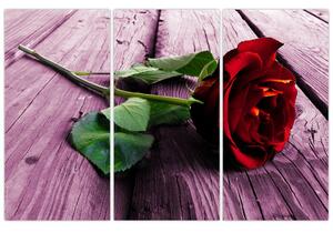 Ležiaci ruža - obraz (Obraz 120x80cm)