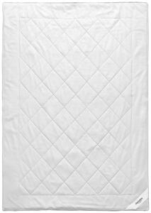 LETNÁ PRIKRÝVKA, 200/200 cm, hodváb Sleeptex - Prikrývky & vankúše, Online Only