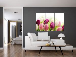 Tulipány, maľby (Obraz 120x80cm)