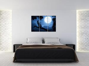 Nočná príroda, obrazy (Obraz 120x80cm)
