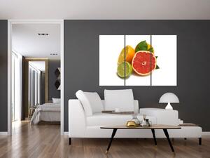 Citrusové plody - obraz (Obraz 120x80cm)