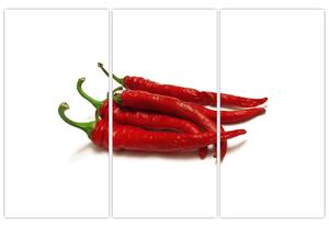 Chilli papričky, obrazy (Obraz 120x80cm)