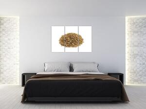 Pšenica, obraz (Obraz 120x80cm)