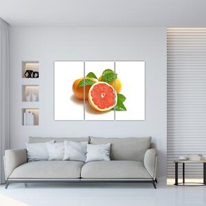 Grapefruit, obraz (Obraz 120x80cm)