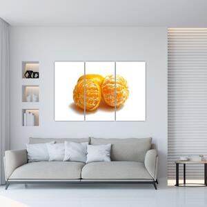 Pomaranče, obraz (Obraz 120x80cm)