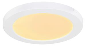 STROPNÉ LED SVIETIDLO, 22/1,8 cm Boxxx - Interiérové svietidlá