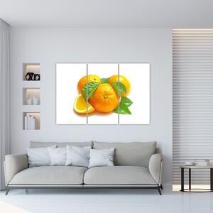 Pomaranče, obraz (Obraz 120x80cm)