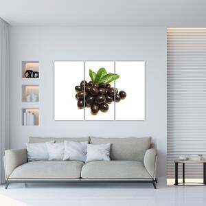 Olivy, obraz (Obraz 120x80cm)