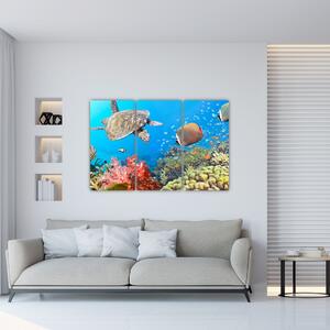 Podmorský svet, obraz (Obraz 120x80cm)