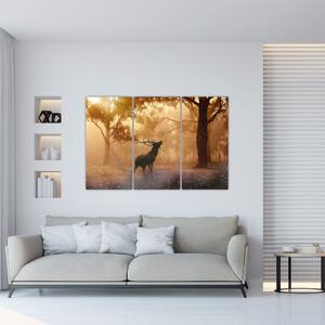 Jeleň v prírode (Obraz 120x80cm)
