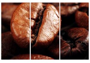 Kávové zrno, obrazy (Obraz 120x80cm)