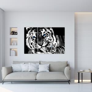 Tiger s mláďaťom, obraz (Obraz 120x80cm)