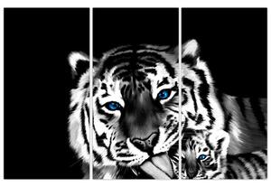 Obraz tigra s mláďaťom (Obraz 120x80cm)