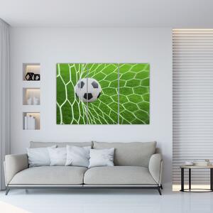 Futbalová lopta v sieti - obraz (Obraz 120x80cm)