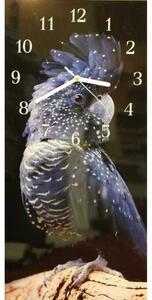 Nástenné hodiny papagáj 30x60cm XVIII - plexi