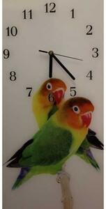 Nástenné hodiny papagáj 30x60cm XXXIV - plexi