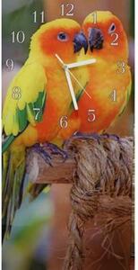 Nástenné hodiny papagáj 30x60cm LVIII. - plexi