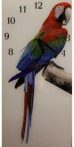 Nástenné hodiny papagáj 30x60cm XLVIII - plexi