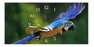 Nástenné hodiny papagáj 30x60cm LI - plexi