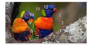 Nástenné hodiny papagáj 30x60cm XXIX - plexi