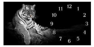 Nástenné hodiny tiger 30x60cm IV - plexi