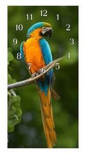 Nástenné hodiny papagáj 30x60cm XXVIII - plexi