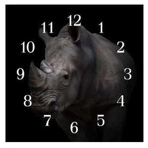 Nástenné hodiny nosorožec 30x30cm I - plexi